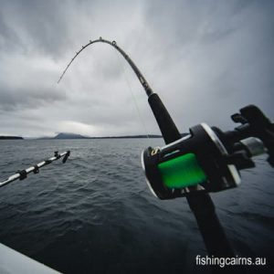 rods