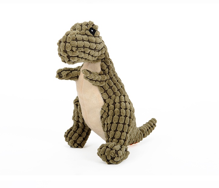 Dinosaur Pet Toys - Image 9