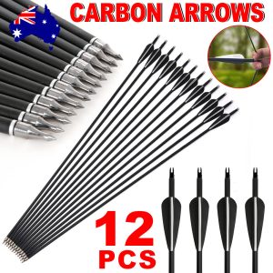 30" Carbon Arrows
