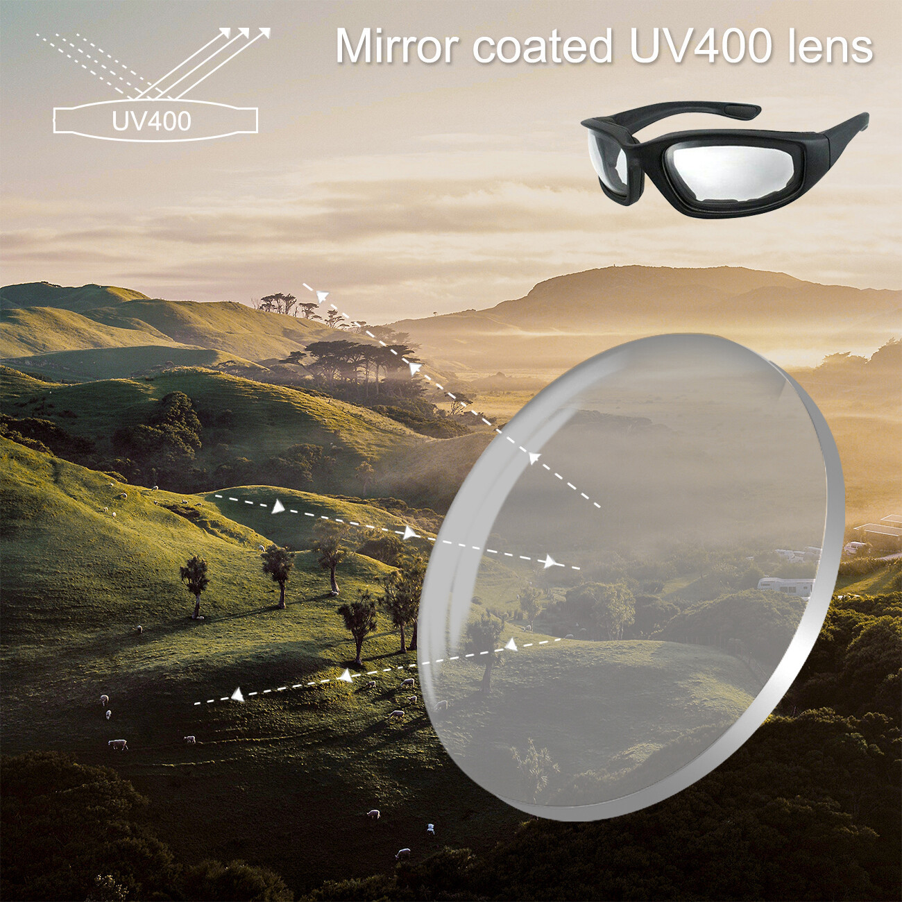 Cycling Sunglasses - Image 5