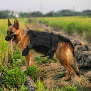 Dog Harness
