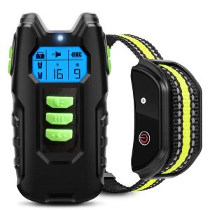 Dog Training Collar