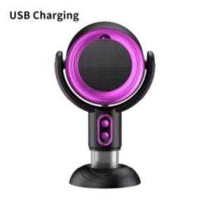 Portable Fan