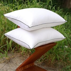 Fluffy Soft Pillows With Down